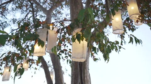 Light bulb hanging decoration under trees wedding during sunset. Stock Footage 209129085