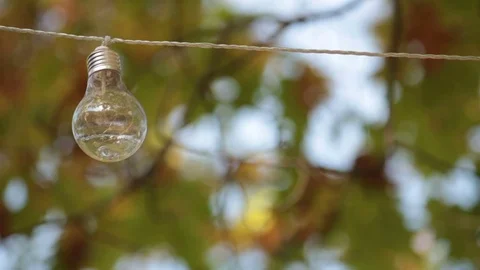 Light bulb hanging outdoor Stock Footage 81284400