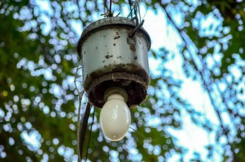 A light bulb hanging from a tree Stock Photos