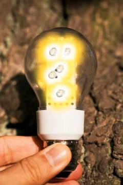 Light bulb held in palm Stock Illustration