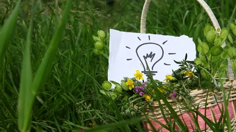 Light bulb, idea concept on nature green background outdoor Stock Footage 63452280
