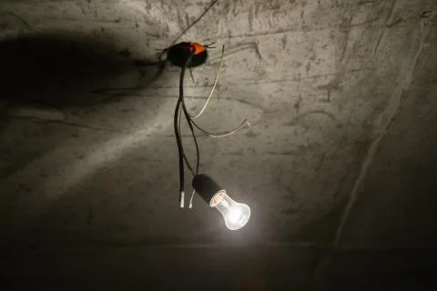 Light bulb illuminates a dark room. Stock Photos