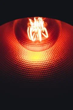 Light bulb inside copper lamp. Stock Photos