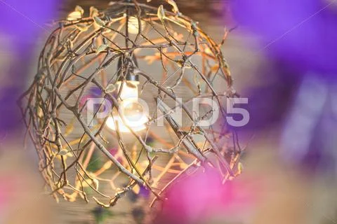 Light bulb inside a tree branch Stock Photos