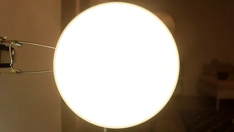 Light bulb in lamp Vídeos de archivo 86573109