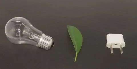 Light bulb, leaf and adapter Stock Photos