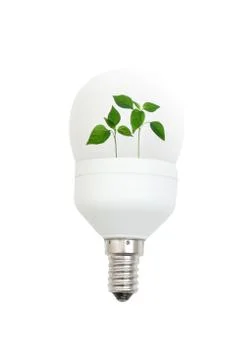 Light bulb with leaves Stock Photos