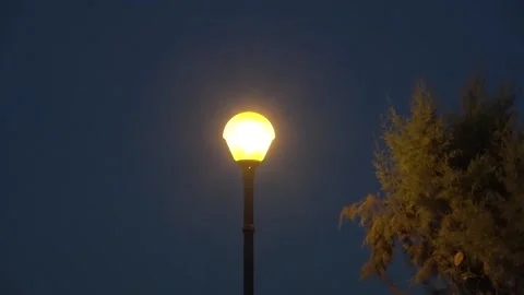 Light bulb on a lighting pole during night Stock Footage 160372846