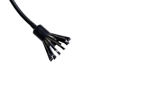 Light bulb Stock Photos