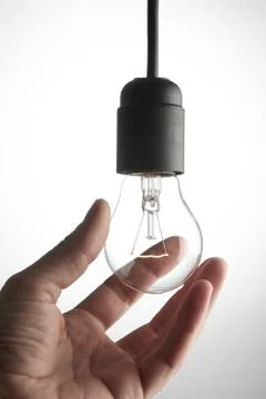 Light bulb Stock Photos