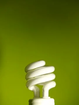 Light Bulb Stock Photos