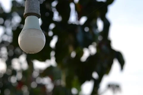 Light bulb Foto stock