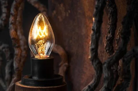 Light bulb Stock Photos