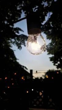 Light bulb Stock Photos