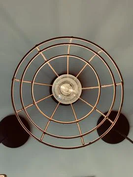 Light Bulb Stock Photos