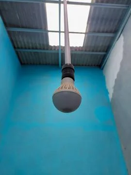 Light bulb Stock Photos