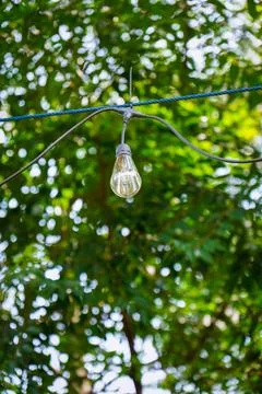 Light bulb Stock Photos