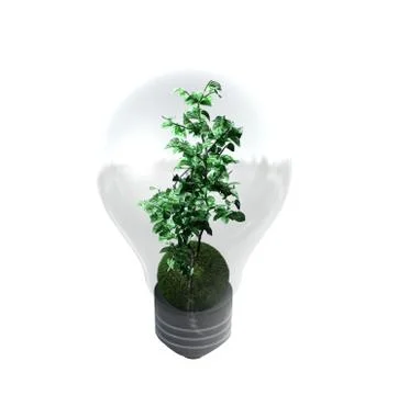 Light bulb with plant Stock Illustration