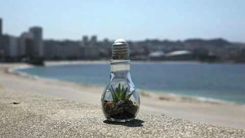 A light bulb with a plant inside against the backdrop of a sandy city beach near Stock Footage 230274029