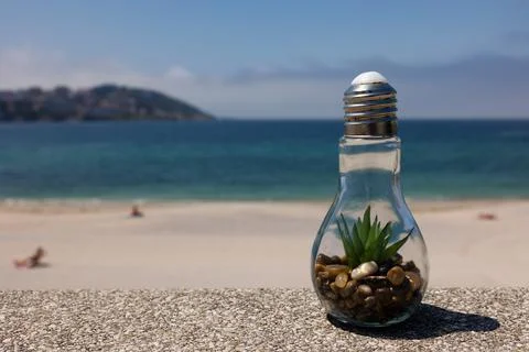 A light bulb with a plant inside, preserving nature and ecology with the help of Stock Photos
