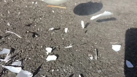 Light Bulb Shattering in Slow Motion Video stock 81339327