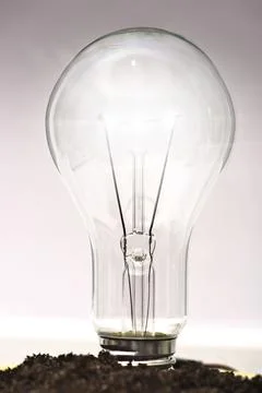 A light bulb in a soil Stock Photos