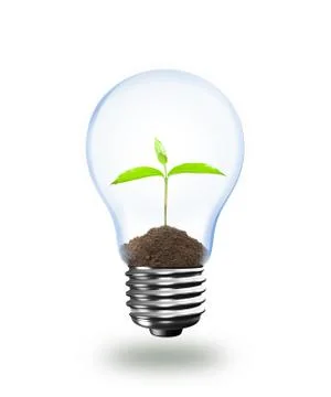 Light Bulb with sprout inside in hand Stock Photos