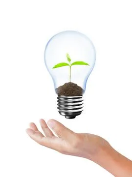 Light Bulb with sprout inside in hand Stock Photos