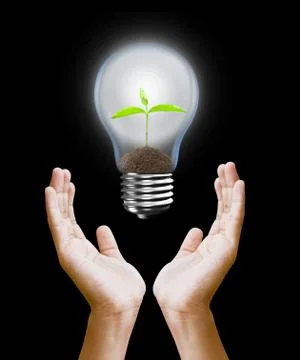 Light Bulb with sprout inside in hand Stock Photos