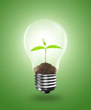 Light Bulb with sprout inside Stock Photos