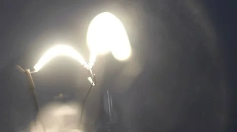 Light Bulb Starts Slowmotion Stock Footage 8688081