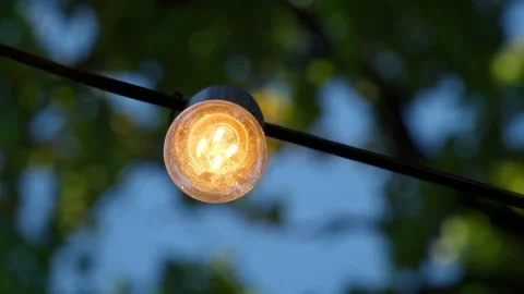 Light bulb in the summer twilight. Stock Footage 166449429