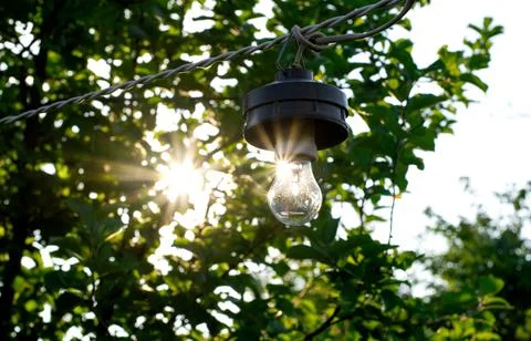 Light bulb with sun rays reflecting in it outdoors Foto stock