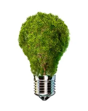 Light bulb with tree inside glass, isolated on white background. Stock Illustration