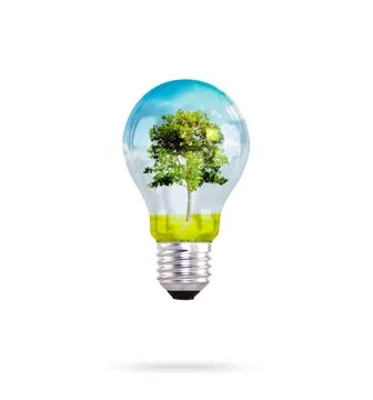 Light bulb with tree inside Stock Photos