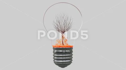 Light bulb with tree inside on white background. Green Energy Concept ...