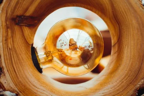 A light bulb in the tree Stock Photos