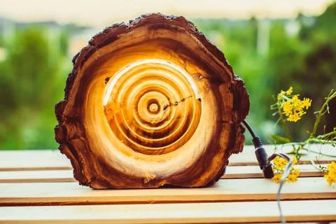 A light bulb in the tree Stock Photos