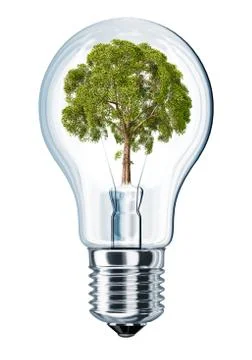 Light bulb with tree in place of filament. Stock Illustration