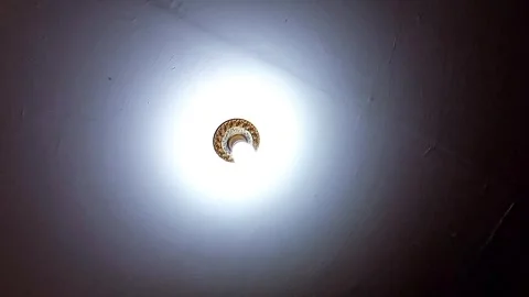 Light bulb on white plasterboard ceiling going on and off. Stock Footage 336590972