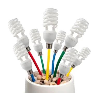 Light Bulbs attached to a colored cables growing in a pot Stock Photos