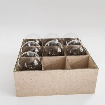 Light bulbs in a box Stock Illustration