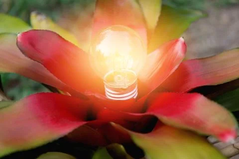 Light bulbs with glowing on ground. Idea, creativity and saving energy with l Foto stock