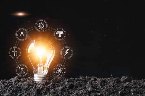 Light bulbs with glowing one. technology and creativity concept with light bu Foto stock