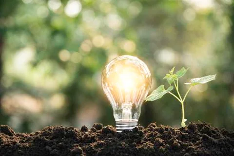 Light bulbs with glowing one. technology and creativity concept with light bu Stock Photos