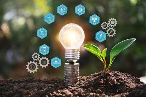 Light bulbs with glowing one. technology and creativity concept with light bu Stock Photos