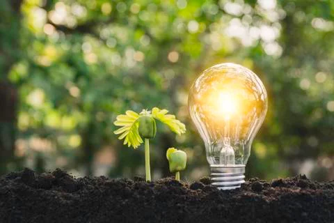 Light bulbs with glowing one. technology and creativity concept with light bu Stock Photos