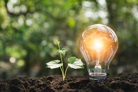 Light bulbs with glowing one. technology and creativity concept with light bu Stock Photos