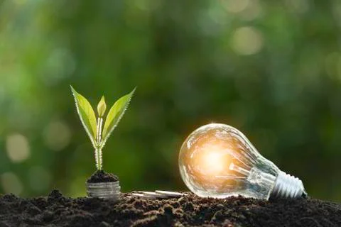 Light bulbs with glowing one. technology and creativity concept with light bu Stock Photos