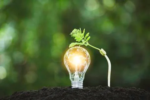 Light bulbs with glowing one. technology and creativity concept with light bu Stock Photos